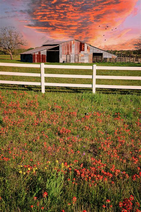 Spring Farm Spring Farm Scenes Wallpapers Top Free Spring Farm