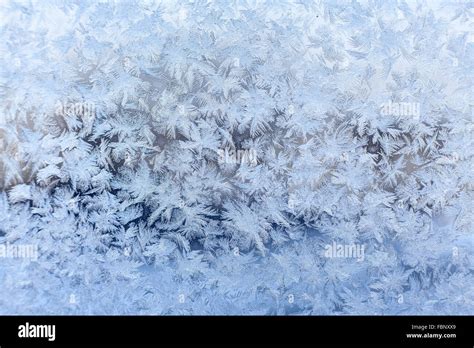 Beautiful Frosted Ice Floral Texture On Window Glass In Blurred