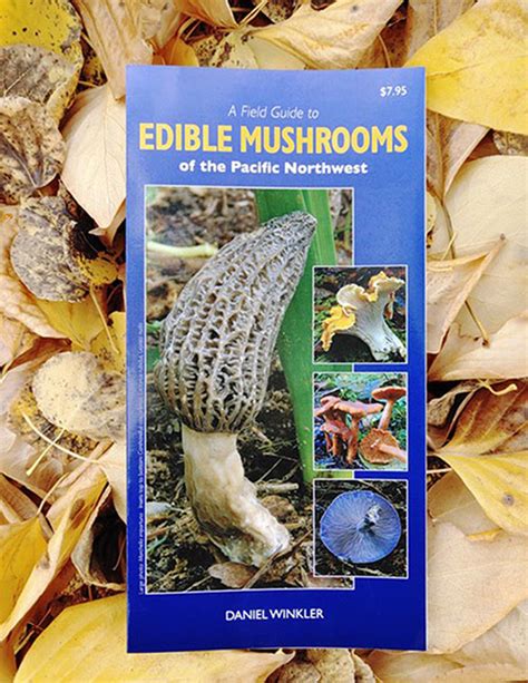 Mushroom Id Guide Bridge River Valley