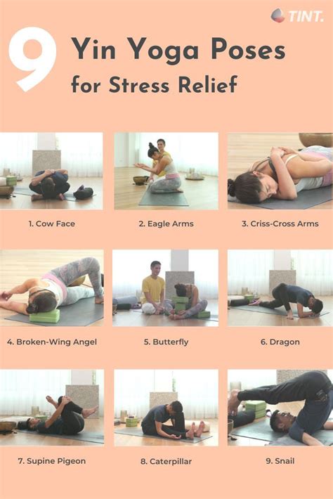 yin yoga poses chart