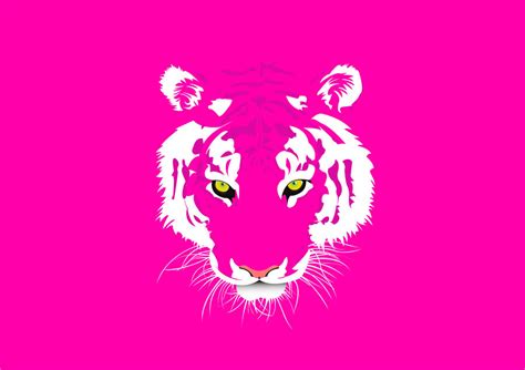 Pink Tiger By Armadilloboy On Deviantart