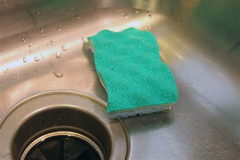 Here S Why You Need To Stop Cleaning Your Sponges Right Now