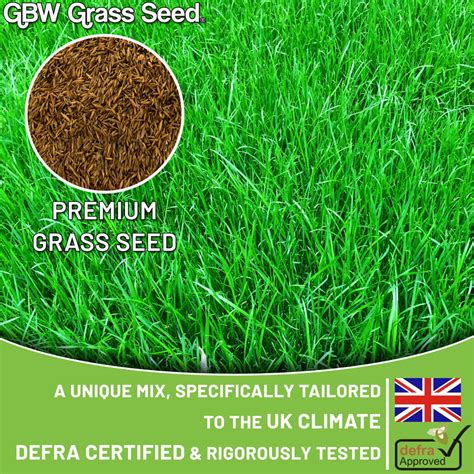 About Us Gbw Grass Seed