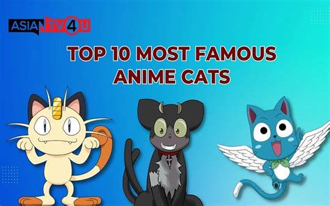 Top 10 Most Famous Anime Cats Asiantv4u