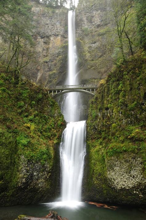 Multnomah Falls At Columbia River Gorge Stock Image Image Of Autumn