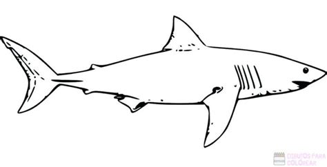 磊 2750Los mejores dibujos de Tiburones para colorear Dibujos