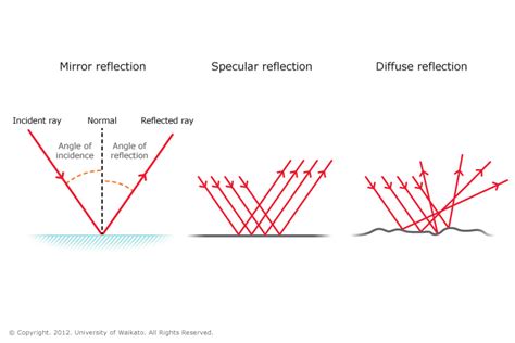 For our science lesson, my partner and i taught a. Reflection of light — Science Learning Hub