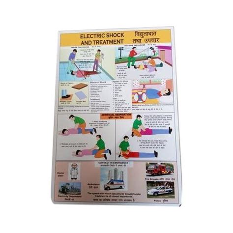 Electric Shock Treatment Chart At Rs 850piece Shock Treatment Chart