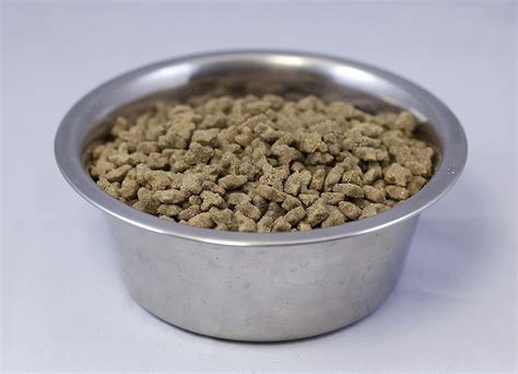 Wysong Vitality Dry Cat Food 5 Lb Bag