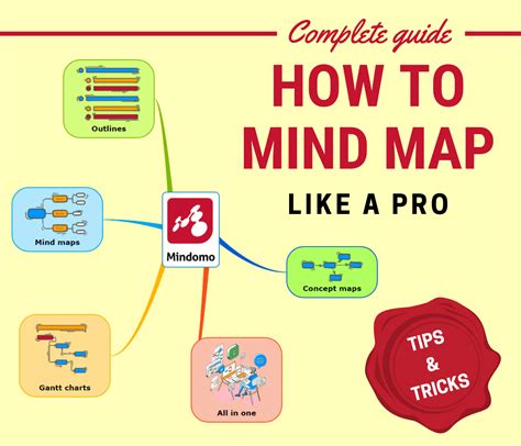 The Complete Guide On How To Mind Map For Beginners Mind Map Examples