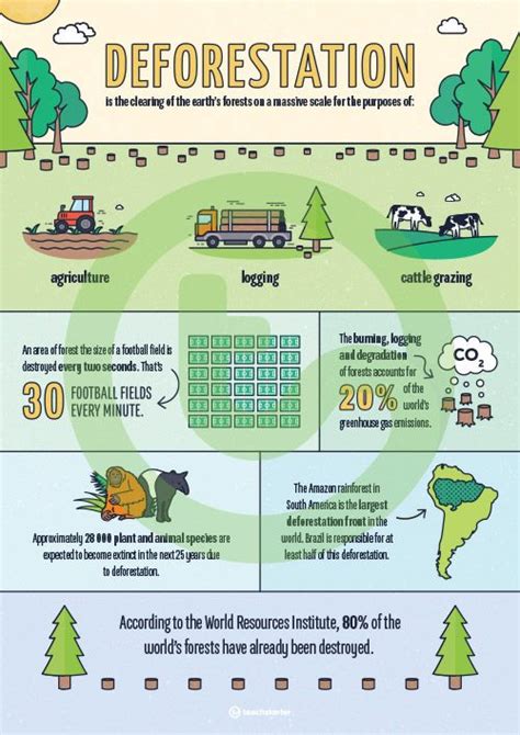 Deforestation Infographic Poster Teaching Resource Infographic Poster