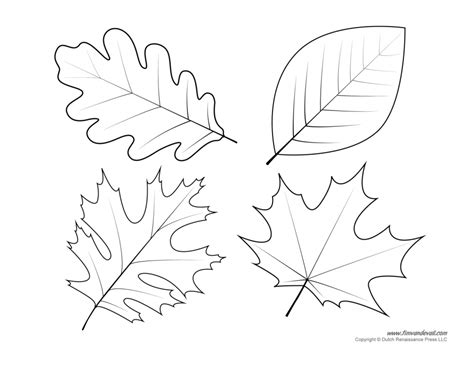 20 Free Printable Leaf Coloring Pages