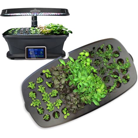 Miracle-Gro Aerogarden Bounty Seed Starting System Tray - Walmart.com