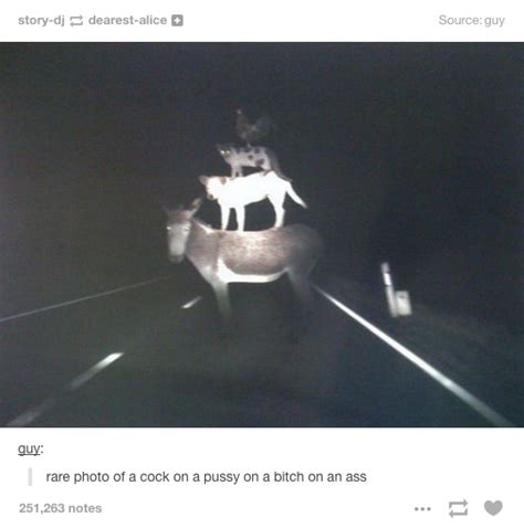 the 25 weirdest things that have happened on late night tumblr memes humor funny jokes