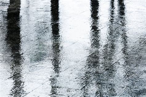Rain Puddles With Ripples On Wet Pavement Street During Autumn Rain