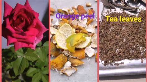How can we neutralize the acidity of soil? How to make your garden's soil Acidic - YouTube