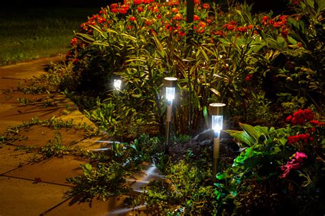 Night Garden Lights Stock Photo Download Image Now Istock