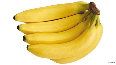 gambar kartun pisang aliansi kartun
