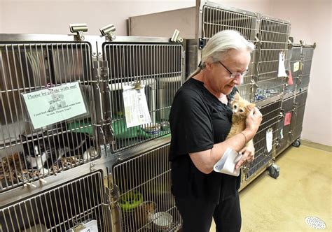 Humane Society In Minnesota To Build New Space Ap News