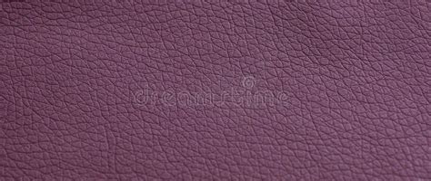Leather Burgundy Background Background With Artificial Gray Leather
