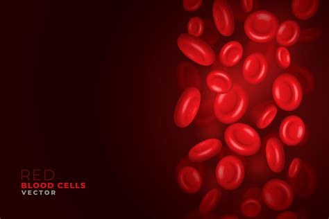 Red Blood Cells Flowing Background Download Free Vector Art Stock