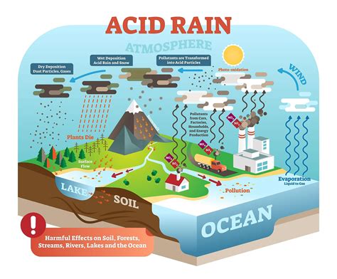 What Is Acid Rain Worldatlas