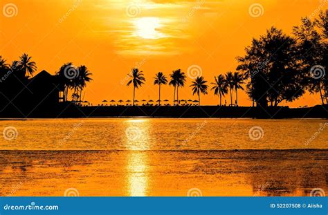 Palm Trees In Orange Glow Sunset Stock Photo Image Of Silhouette