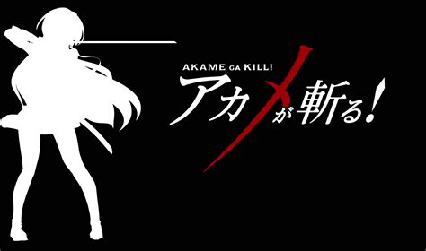 18 Wallpaper Anime Hd Akame Ga Kill
