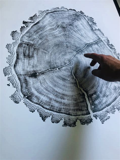 Heber Utah Douglass Fir Tree Ring Print Original Woodblock Etsy