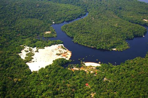 Rio Negro River L Astounding Character Our Breathing Planet
