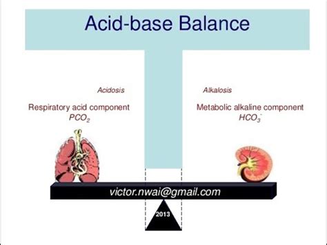 Renal Mechanisms In The Regulation Of Acid Base Balance Youtube