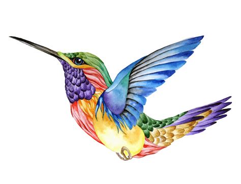Tattoos fuß coole tattoos kolibri tattoos kolibri bilder hautfarbe strichzeichnung tattoos frauen tattoo ideen lebensfreude. Hummingbird Tattoo Meaning - Tattoos With Meaning