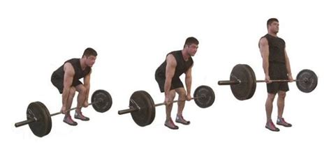 5 Valuable Types Of Powerful Deadlift Exercises