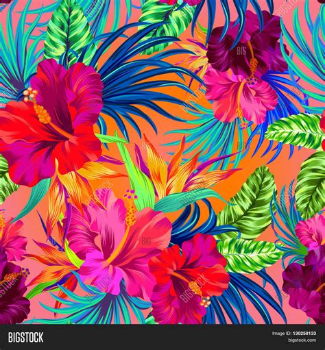 Vector Tropical Vector And Photo Free Trial Bigstock
