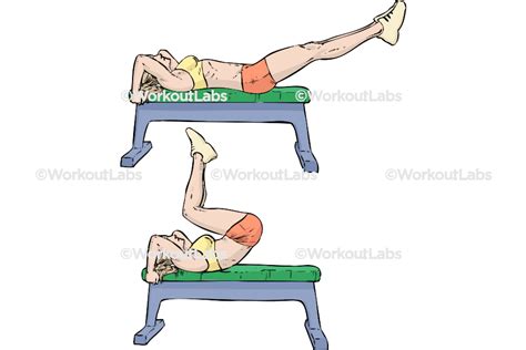Reverse Bench Crunches Workoutlabs Exercise Guide