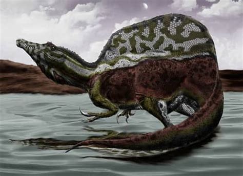 Scientists ‘unveil First Semi Aquatic Dinosaur Engoo Daily News