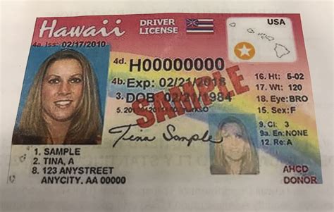 Travel Id Card Secretary Of State Offices To Issue Optional Real Id