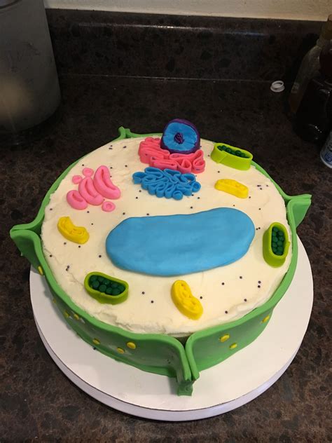 Pin By Johanna Nichols On Science Cells Plant Cell Cake Cake Recipes