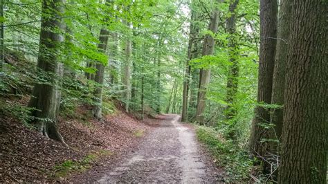 This page is about the various possible meanings of the acronym, abbreviation, shorthand or slang term: VOLZET - Vijf Eikenwandeling - Heverleebos (9 km) - Week ...