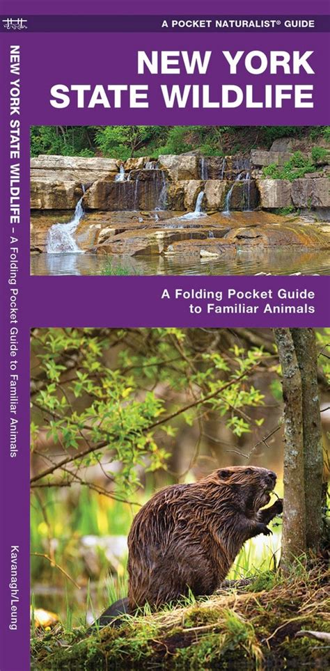 New York State Wildlife Pocket Naturalist® Guide