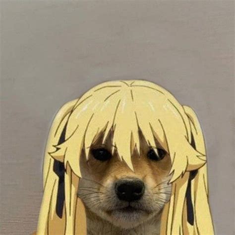 𝚊𝚗𝚒𝚖𝚎𝚔𝚊𝚔𝚎𝚐𝚞𝚛𝚞𝚒 Funny Anime Pics Dog Icon Anime Funny