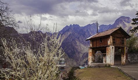 Joshimath Uttarakhand Trekking Destination And Places To Visit