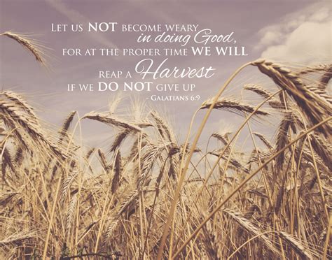 9 and let us not be weary in well doing: Let us not become weary in doing good - Galatians 6:9 ...