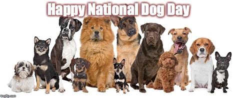 Funny National Dog Day Dog National International Hug 2021 Happiness