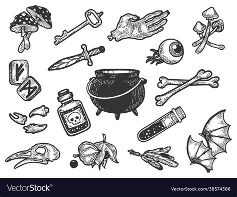 Magical Witch Ingredients Line Art Sketch Vector Image