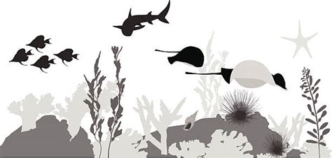 Coral Reefs Underwater Silhouette Clip Art Vector Images