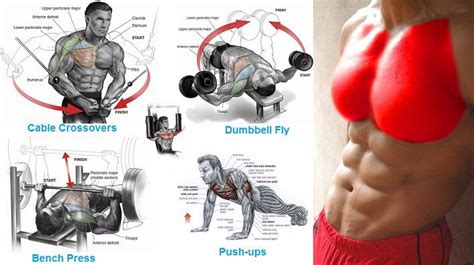 Various Executing Chest Exercises Exercise Full Chest Workout Chest