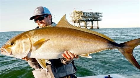 Fishing For Giant Amberjacks And Tuna On Oil Rigs