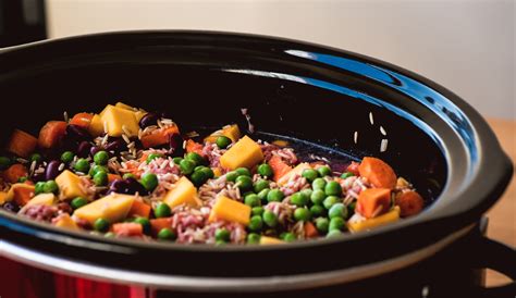 Easy Diy Dog Food You Can Make In Your Instant Pot The Dog People By