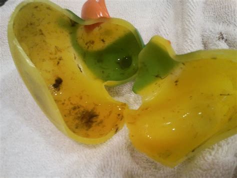 Best baby bath toy : One Look Inside Your Child's Rubber Duck And You'll Toss ...